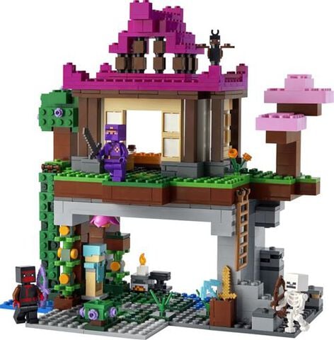 Lego -  Minecraft -  Le Camp D Entrainement